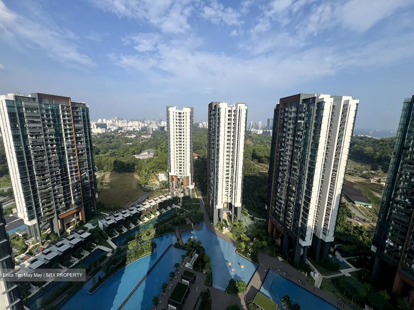 Normanton Park (D5), Apartment #507180721